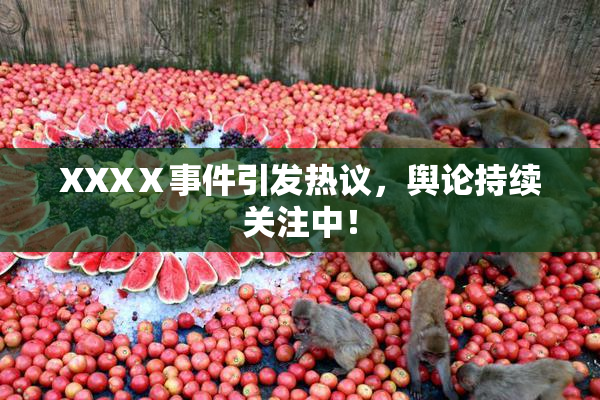 XXXⅩ事件引发热议，舆论持续关注中！