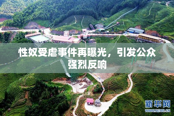 性奴受虐事件再曝光，引发公众强烈反响