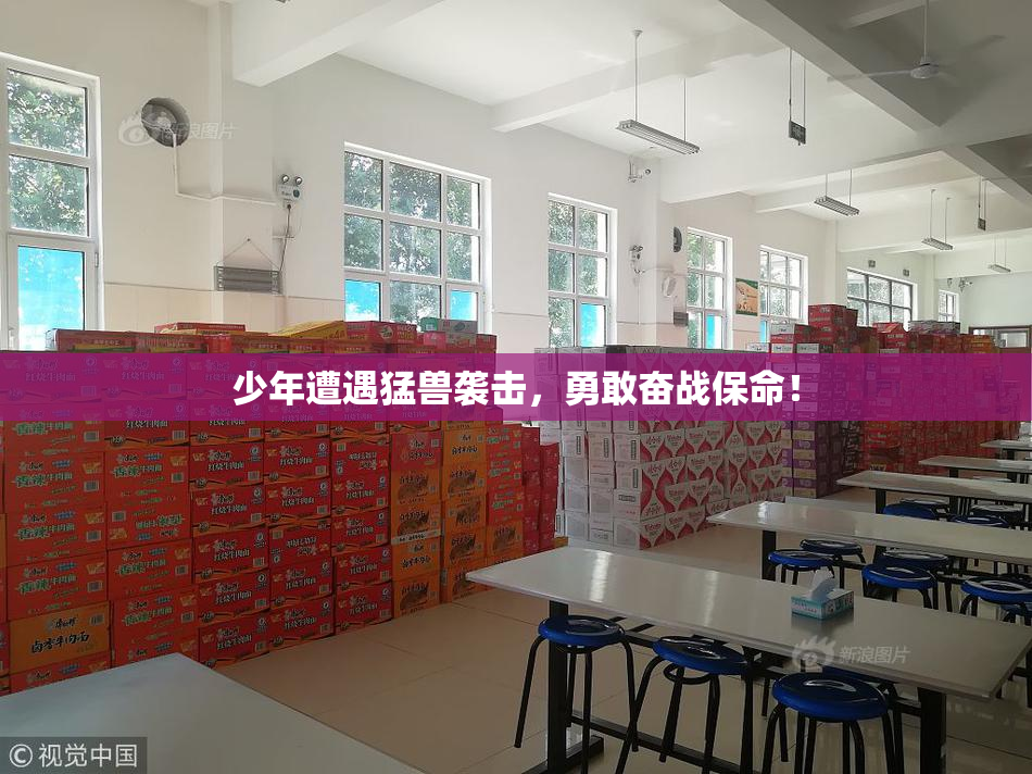 少年遭遇猛兽袭击，勇敢奋战保命！