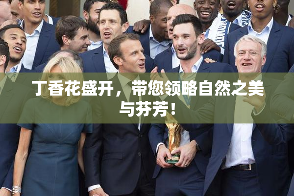 丁香花盛开，带您领略自然之美与芬芳！