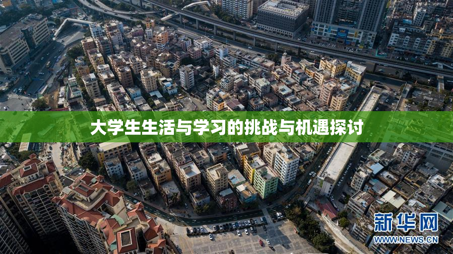 大学生生活与学习的挑战与机遇探讨