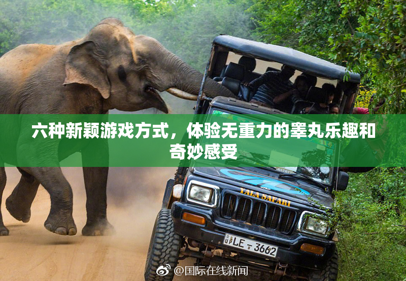 六种新颖游戏方式，体验无重力的睾丸乐趣和奇妙感受
