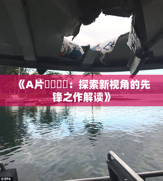 《A片❌‌❌‌：探索新视角的先锋之作解读》