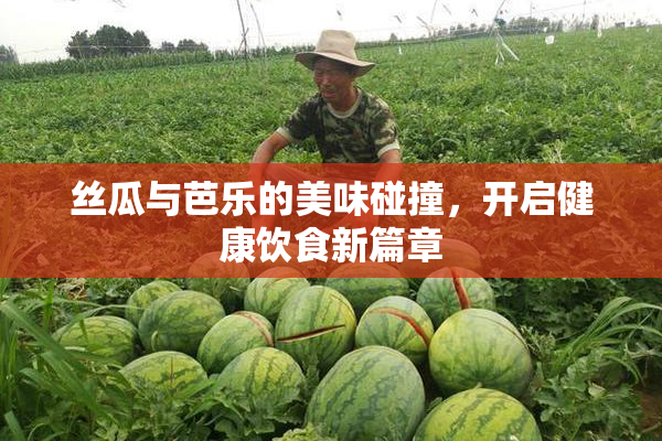 丝瓜与芭乐的美味碰撞，开启健康饮食新篇章