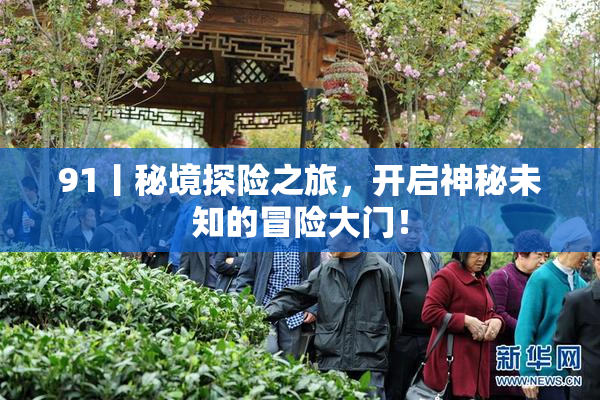 91丨秘境探险之旅，开启神秘未知的冒险大门！
