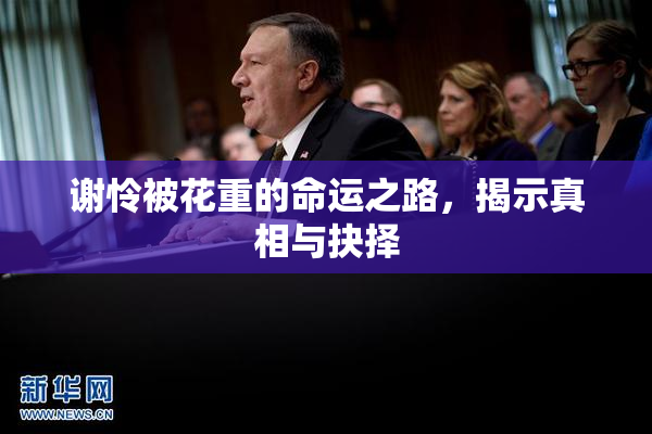 谢怜被花重的命运之路，揭示真相与抉择