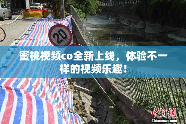 蜜桃视频co全新上线，体验不一样的视频乐趣！