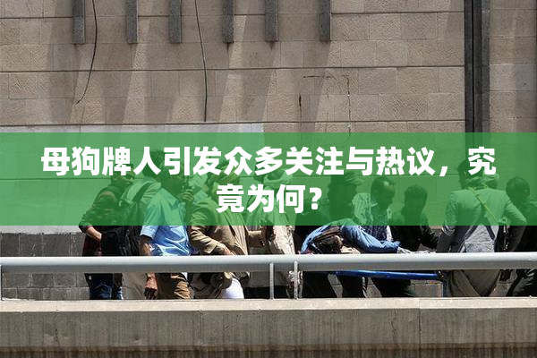 母狗牌人引发众多关注与热议，究竟为何？