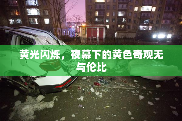 黄光闪烁，夜幕下的黄色奇观无与伦比
