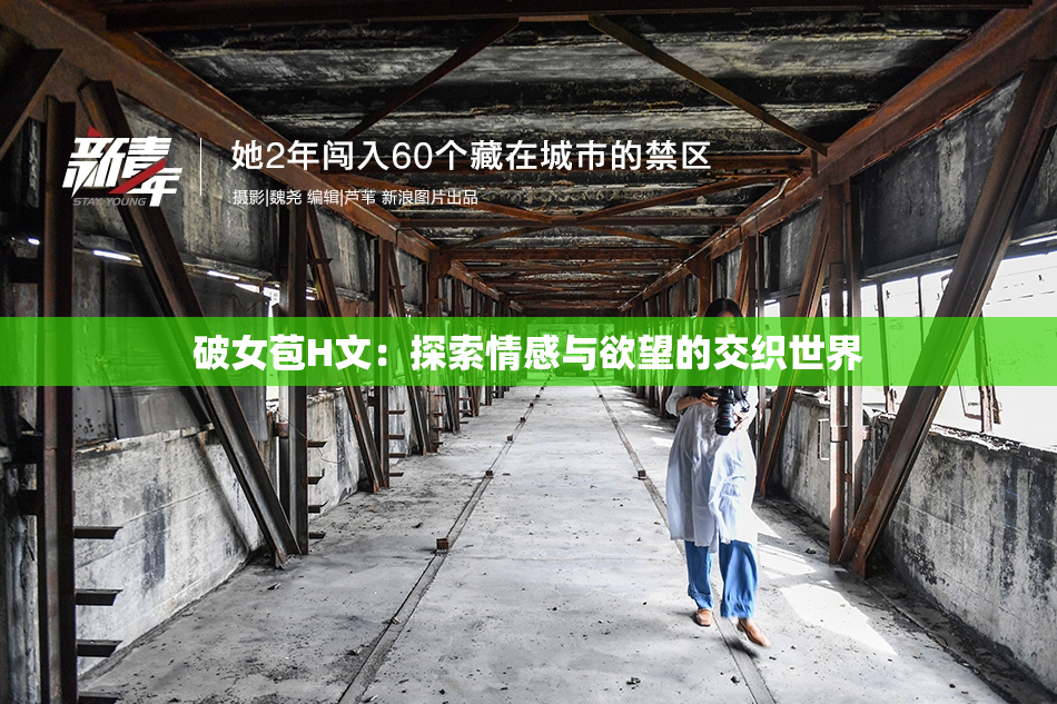 破女苞H文：探索情感与欲望的交织世界