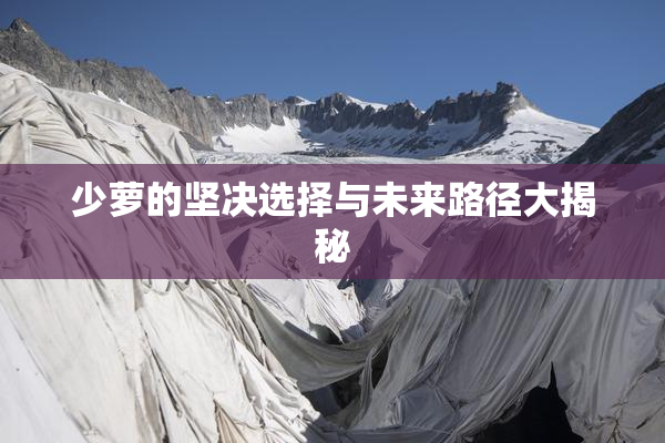 少萝的坚决选择与未来路径大揭秘