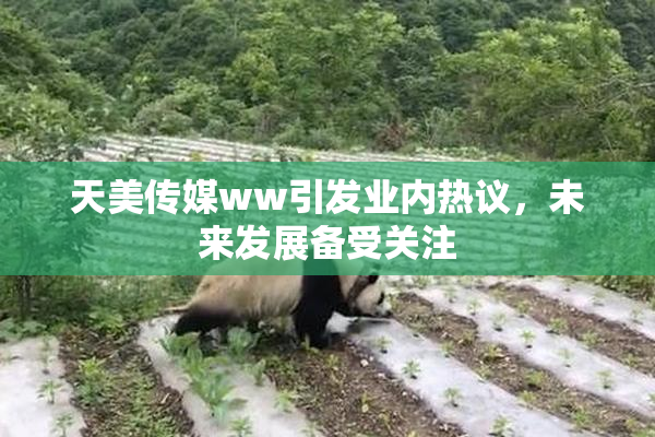 天美传媒ww引发业内热议，未来发展备受关注