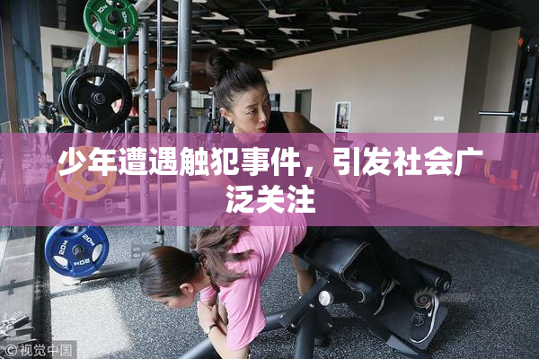 少年遭遇触犯事件，引发社会广泛关注