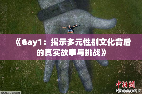 《Gay1：揭示多元性别文化背后的真实故事与挑战》
