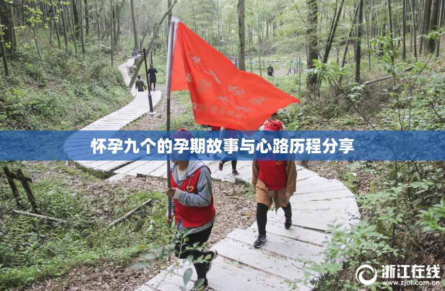怀孕九个的孕期故事与心路历程分享