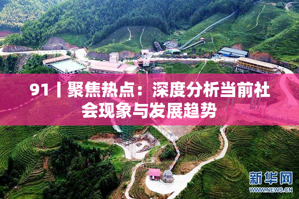 91丨聚焦热点：深度分析当前社会现象与发展趋势