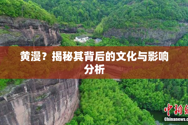 黄漫？揭秘其背后的文化与影响分析