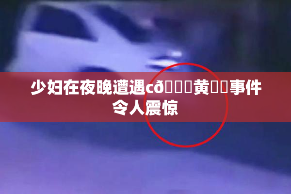 少妇在夜晚遭遇c🔞黄❌‌事件令人震惊
