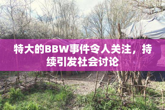 特大的BBW事件令人关注，持续引发社会讨论