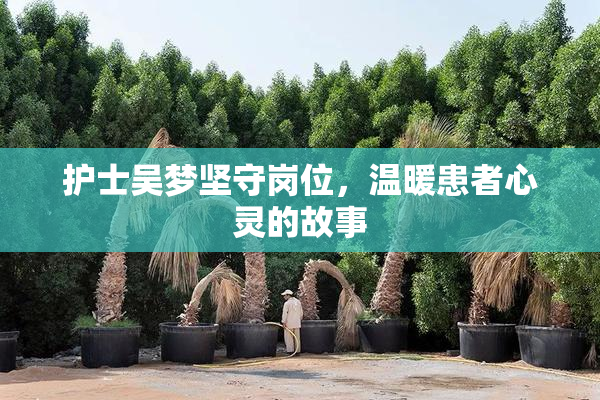 护士吴梦坚守岗位，温暖患者心灵的故事