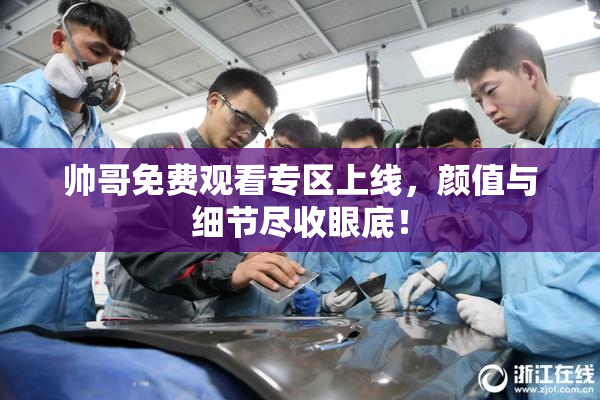 帅哥免费观看专区上线，颜值与细节尽收眼底！