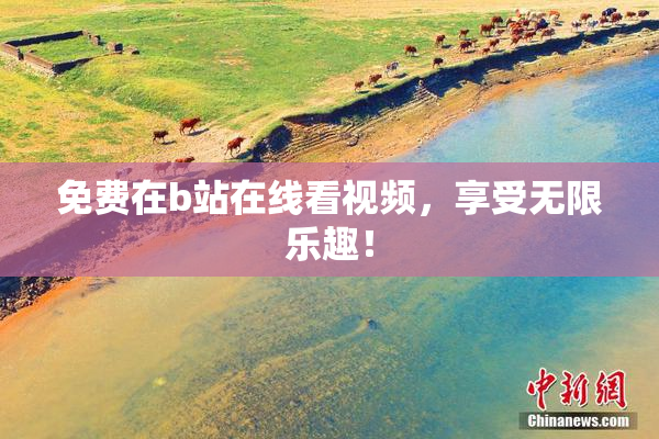 免费在b站在线看视频，享受无限乐趣！