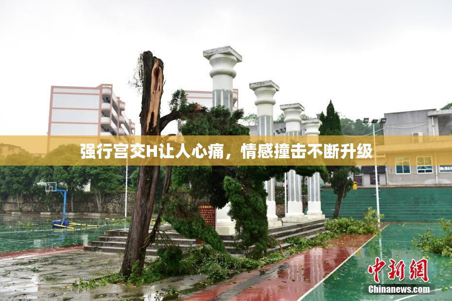 强行宫交H让人心痛，情感撞击不断升级