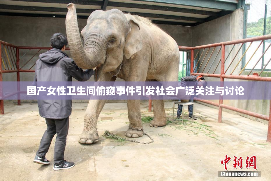 国产女性卫生间偷窥事件引发社会广泛关注与讨论