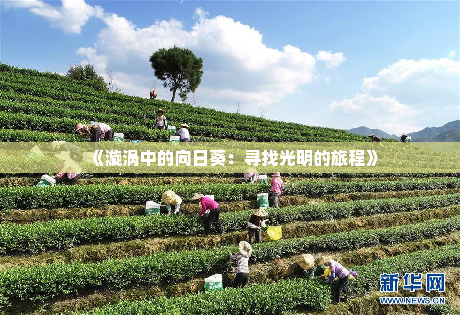 《漩涡中的向日葵：寻找光明的旅程》