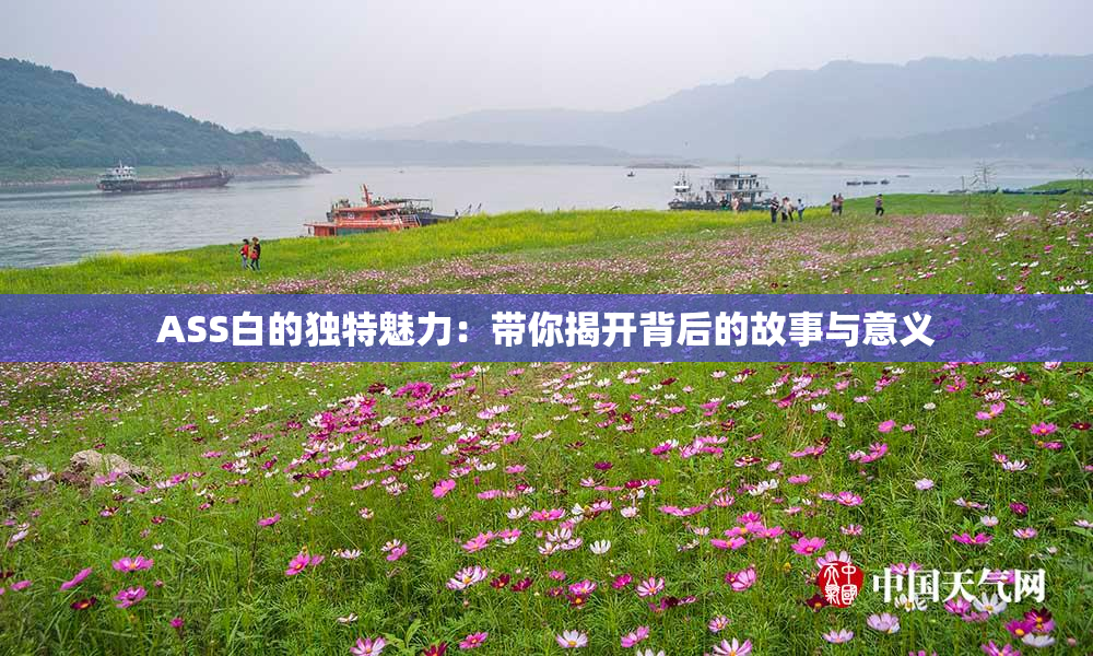 ASS白的独特魅力：带你揭开背后的故事与意义