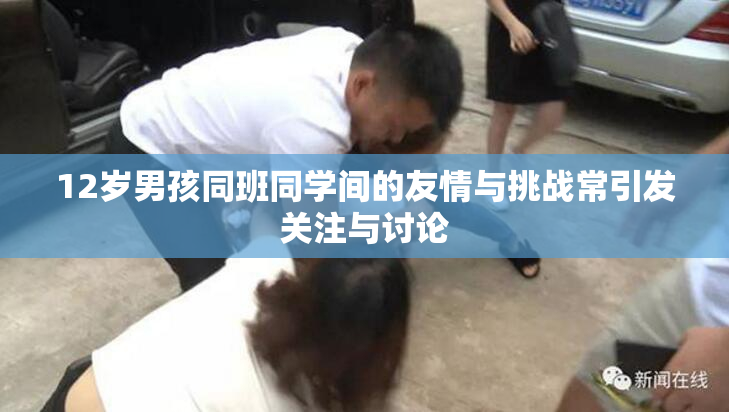 12岁男孩同班同学间的友情与挑战常引发关注与讨论