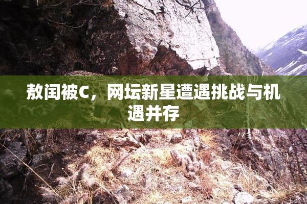 敖闰被C，网坛新星遭遇挑战与机遇并存