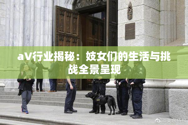 aV行业揭秘：妓女们的生活与挑战全景呈现