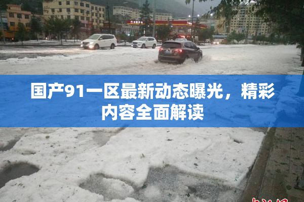 国产91一区最新动态曝光，精彩内容全面解读