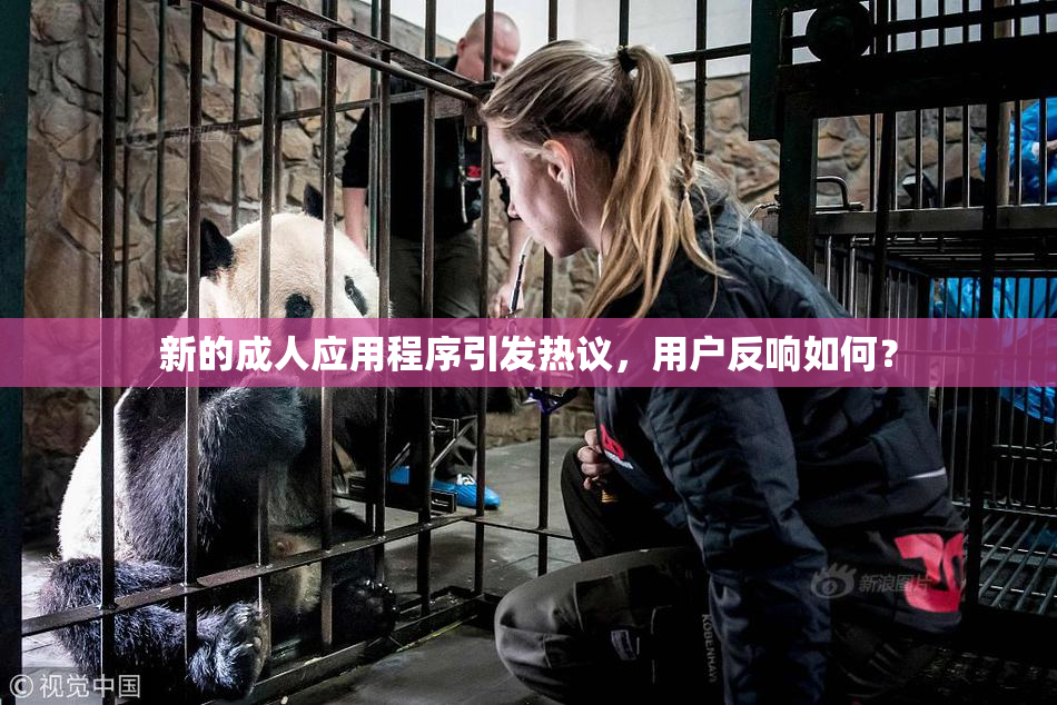 新的成人应用程序引发热议，用户反响如何？