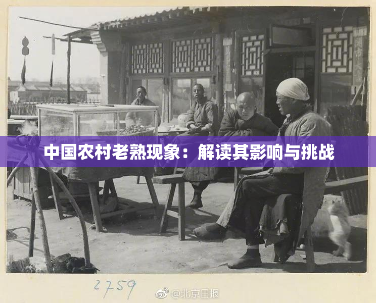 中国农村老熟现象：解读其影响与挑战