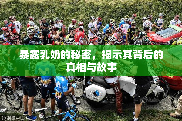 暴露乳奶的秘密，揭示其背后的真相与故事