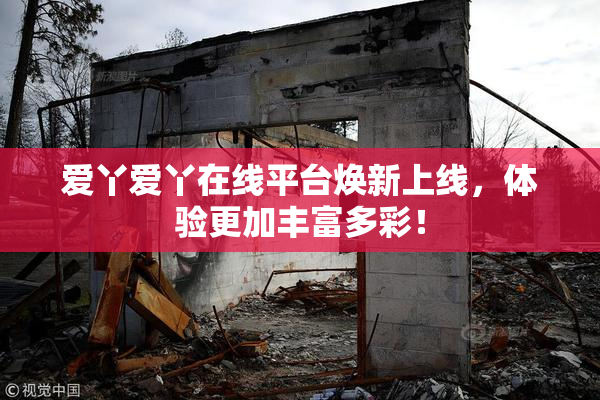 爱丫爱丫在线平台焕新上线，体验更加丰富多彩！
