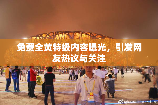 免费全黄特级内容曝光，引发网友热议与关注