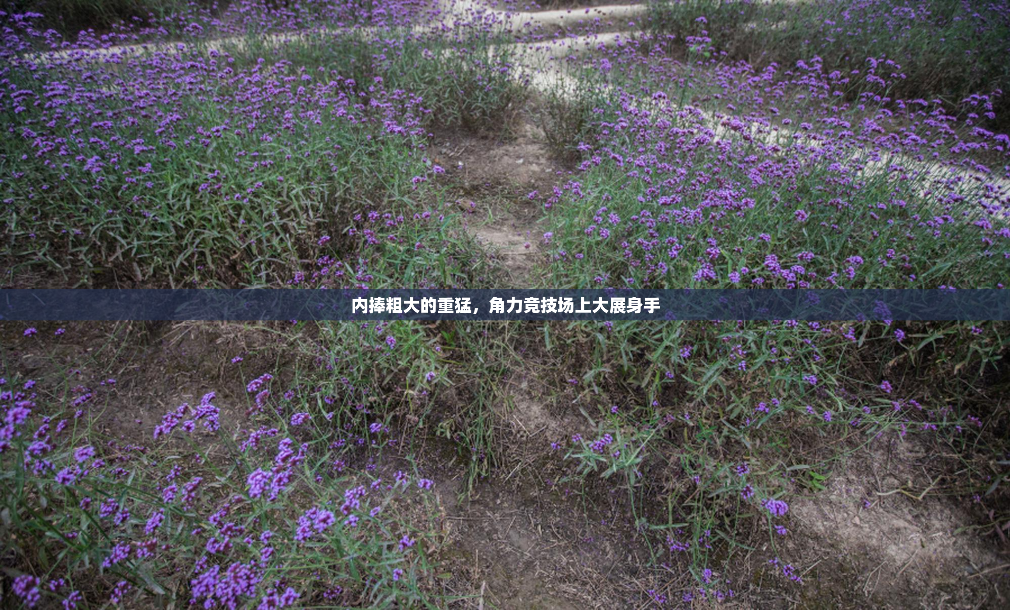 内捧粗大的重猛，角力竞技场上大展身手