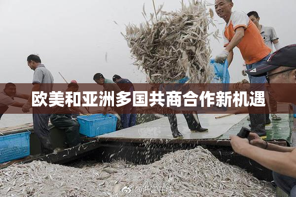 欧美和亚洲多国共商合作新机遇