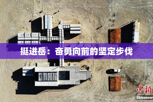 挺进岳：奋勇向前的坚定步伐