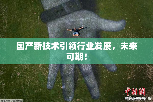 国产新技术引领行业发展，未来可期！