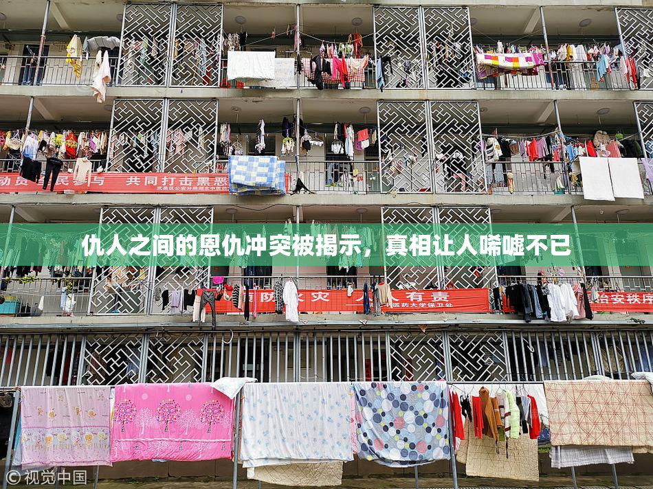 仇人之间的恩仇冲突被揭示，真相让人唏嘘不已