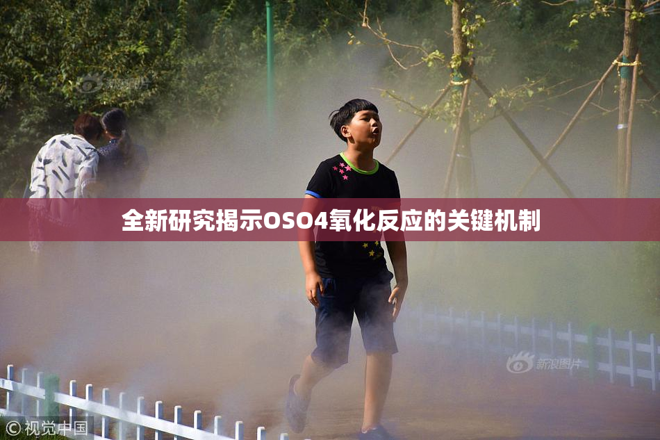 全新研究揭示OSO4氧化反应的关键机制