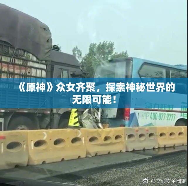 《原神》众女齐聚，探索神秘世界的无限可能！