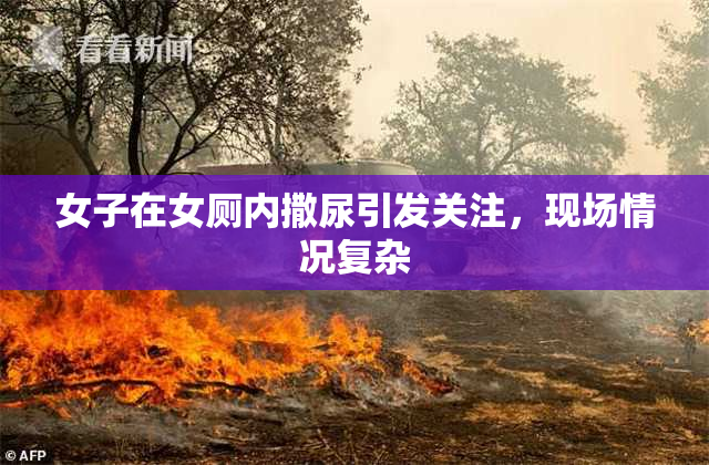 女子在女厕内撒尿引发关注，现场情况复杂