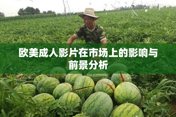 欧美成人影片在市场上的影响与前景分析