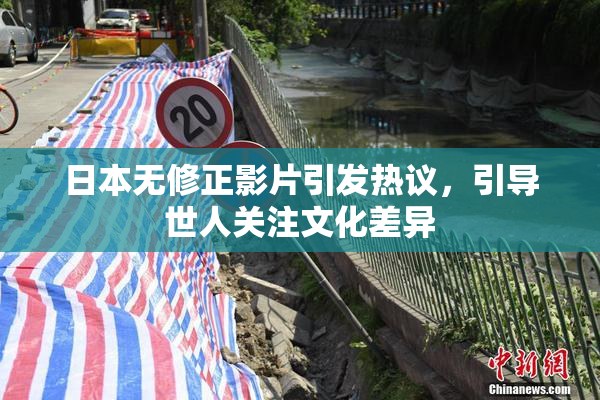 日本无修正影片引发热议，引导世人关注文化差异