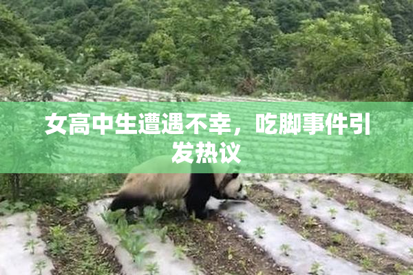 女高中生遭遇不幸，吃脚事件引发热议